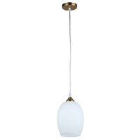 Светильник Arte Lamp A4344SP-1PB PROPUS