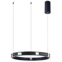 Светильник Arte Lamp A2222SP-1BK SHINE