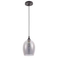 Светильник Arte Lamp A4344SP-1BK PROPUS