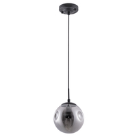 Светильник Arte Lamp A9915SP-1BK TUREIS