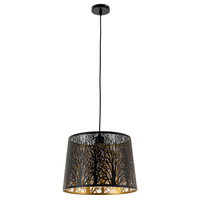 Светильник Arte Lamp A2769SP-1BK CELESTA