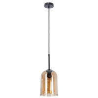 Светильник Arte Lamp A7015SP-1BK PAIO