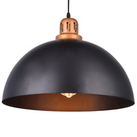 Светильник Arte Lamp A4249SP-1BK Eurica