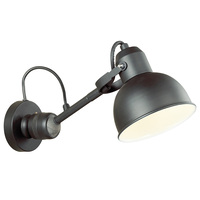 Бра Odeon Light 4125/1W Arta