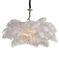 Люстра L ARTE LUCE L03406 Feather Lamp